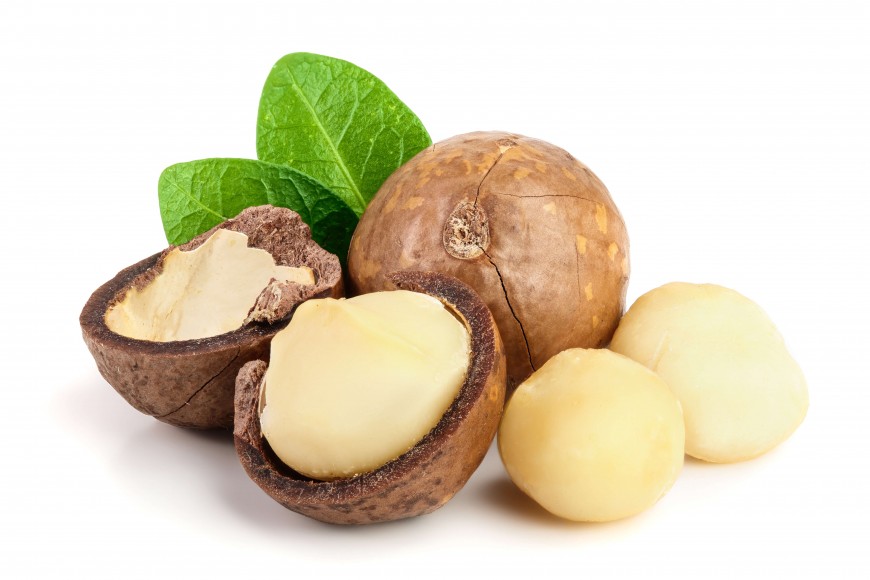 Właściwości orzechów macadamia
