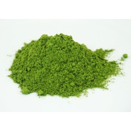 Młody, zielony jęczmień 500g (trawa)
